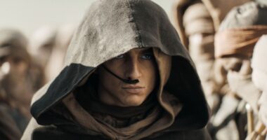 Timothee Chalamet in Dune 2 Review