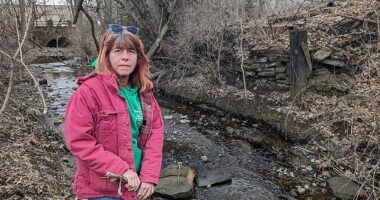 Krissy Ferguson's East Palestine home stands right above Sulphur Run Creek, which was contaminated when a train carrying toxic chemicals derailed less than a mile away