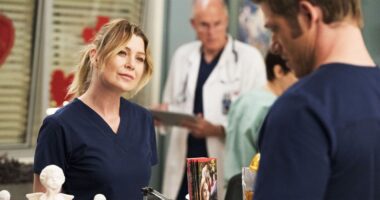Ellen Pompeo's Grey's Anatomy Season 20 Episode Count Revealed