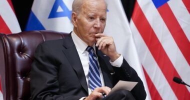 Elmo Would Be a Better President: Biden Gets Major Heat for EO Sanctioning Israelis in the West Bank