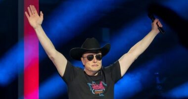 Elon Musk: Google Is Running 'Insane Racist, Anti-Civilizational Programming,' Search Is a 'Problem'