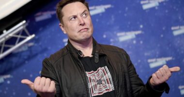Elon Musk Unimpressed With Google Senior Exec Who Called Him GROVELING About Racist, Sexist Gemini