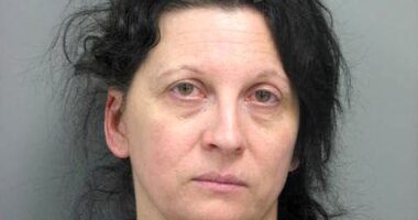 The ex-boyfriend of stalker-killer Shanna 'Liz' Golyar (pictured) has shared that he 'dodged a bomb' and is 'lucky' to have escaped their relationship unscathed