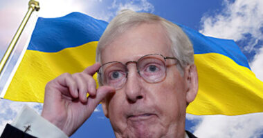 Exclusive -- Ron Johnson Says McConnell's 'Top Priority' Was Ukraine Aid, Not Border Deal