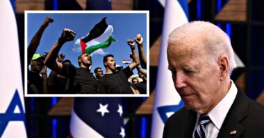 Exclusive: ZOA Slams Biden’s Push for Palestinian ‘Major Terrorist’ State, Likens to ‘Final Solution’