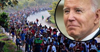 Exclusive — Rep. Ashley Hinson: Immigration Should Be 'Centerpiece' of 2024 Election, Biden 'Unilaterally' Opened Border