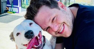 An anonymous source close to the 38-year-old HIV scientist, Jordan Willis's family has now revealed that he is 'devastated' that he did not get to say goodbye or go his friend's funerals