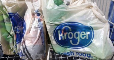 FTC, 9 State AGs Strike Back With Suit to Block $25B Merger of Grocery Chains Kroger and Albertsons – RedState