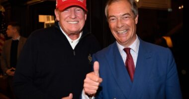 Farage: ‘If I’m The Right Person for UK’s US Ambassador… Wonderful!’