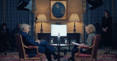 The film (pictured) is due to stream in the Spring. Netflix has finally realised the trailer and has also shared some images from the movie