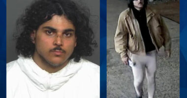 Florida Let New York Hotel Murder Suspect Out of Jail on $2,500 Bond After Horrendous Attack on Woman in Orlando