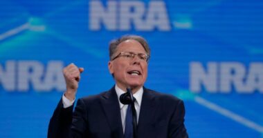 Former CEO Wayne LaPierre Ordered to Repay over $4 Million to NRA
