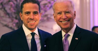 Special Counsel David Weiss has charged a former FBI informant with lying about President Joe Biden and his son Hunter Biden taking a $5million bribe from the Ukrainian energy company Burisma