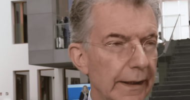 Former German Political Adviser Calls for Germany to Get Tougher on Israel