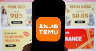 Temu, which is owned by Chinese PDD Holdings, has been accused of doing 'next to nothing' to keep its supply chain free from forced labor