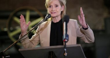 Sen. Hyde-Smith blocked a Senate vote on a bill to protect access to IVF on Wednesday calling it a 'vast overreach'