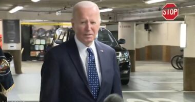 President Joe Biden suffered another public gaffe on Thursday, misnaming Alexei Navalny 's widow Yulia as 'Yolanda' in a brief meeting with the press in San Francisco