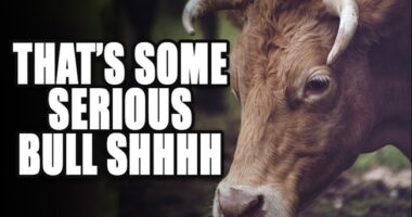 Gaslighting 101: Australian Police Deny Any Protestors at Sydney Opera House Chanted 'Gas the Jews'