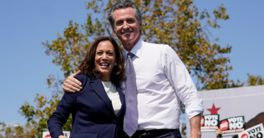 Gavin Newsom Predictably Tries to Cash in on KC Super Bowl Parade Shooting, 'Please Contribute $20 Today' – RedState
