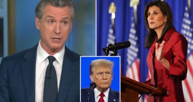 California Gov. Gavin Newsom says he wants Nikki Haley to stay in the 2024 presidential primary race because she is essentially a ' surrogate ' for Democrats . After an embarrassing defeat to Donald Trump in her home state primary in South Carolina on Saturday, former U.N. Amb. Haley said she is sticking to her word and staying in the race through Super Tuesday.