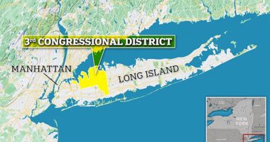 New York's special election on February 13 is taking place in the Third District which includes parts of Long Island and Queens
