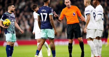 Get into a UFC cage – Postecoglou tells Spurs to focus on football not fighting