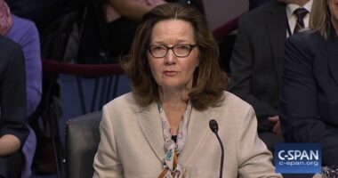 Gina Haspel Hid The CIA's Role In Russiagate For Years