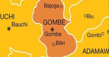 Gombe government confirms outbreak of meningitis