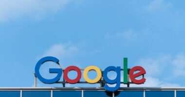Google's AI Is As Dumb And Racist As The People Who Designed It