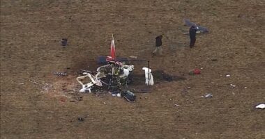 Goose found in flight control of medical helicopter that crashed in Oklahoma, killing 3