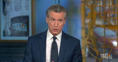 California Gov. Gavin Newsom says he wants Nikki Haley to stay in the Republican primary because she is the 'best surrogate' for Democrats making similar points about ex-President Donald Trump