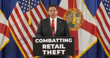 Governor DeSantis Proposes Legislation To Combat Retail Theft, Convictions Could Result In 30-Year Prison Sentence