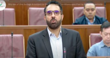 Govt should 'accommodate' S'poreans' demands for 'greater transparency' to make S'pore 'inclusive': Pritam Singh - Mothership.SG