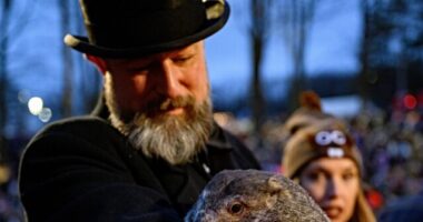 Groundhog Day: Punxsutawney Phil Has Made His Forecast for 2024