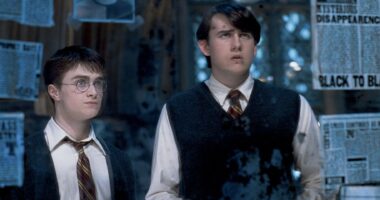 Harry Potter Actor Reveals Which Character He'd Want To Play In Series Reboot