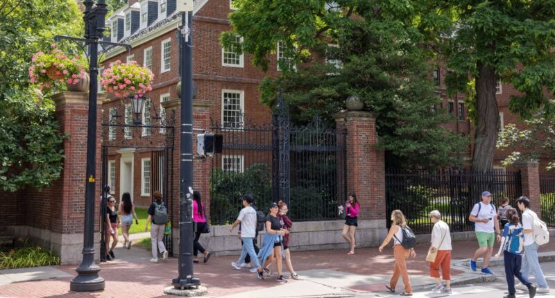 Harvard remains the nation’s richest school as college endowments keep growing