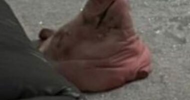 The large severed pig head can be seen on the carpet of the Muslim's family home