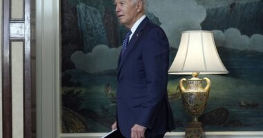 Have You Met YOU? Conservatives Give Biden BRUTAL History Lesson After He Posts About 'Erasing History'