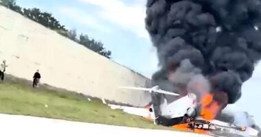 Survivors of a private jet crash in Florida were filmed running for their lives after it exploded on the i-75