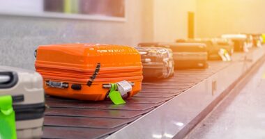 A baggage handler has got her scarf caught on a conveyor belt in Heathrow which caused her to be dragged along uncontrollably (Stock Photo)