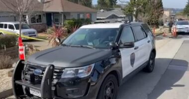 A Bay Area father is believed to have shot his wife dead in their bathtub before killing their four-year-old twin sons and himself. Cops came across the horrific scene during a welfare check at the home on the 4100 block of Alameda de las Pulgas (pictured) Monday morning