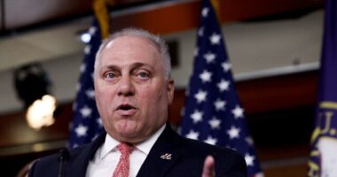 House Majority Leader Steve Scalise: Border Bill Will Not Get a Vote