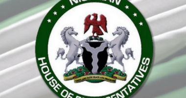 House of reps members propose change from presidential to parliamentary system