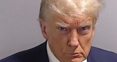 Former president Trump was photographed for a police mug shot after his arrest on August 24 at the Fulton County Jail in Georgia. His campaign has used the image across the campaign.