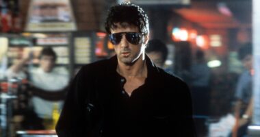 How a Failed Beverly Hills Cop Pitch Led to Sylvester Stallone's Wildest Movie