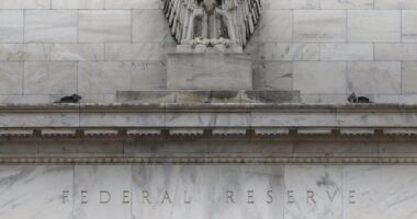 How bonds perform one year after the Federal Reserve’s first rate cut of a cycle