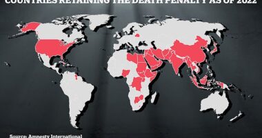 How the world executes its worst criminals: Methods of capital punishment used around the world from public beheading and stoning to nitrogen gas and Chinese death vans