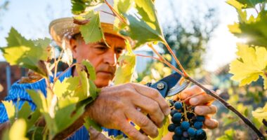 How to turn your hobby or passion into a money-maker