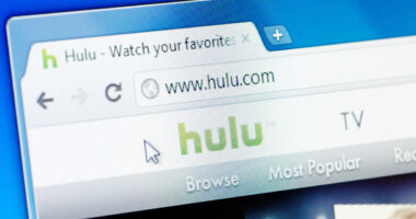 Hulu starts cracking down on password sharing
