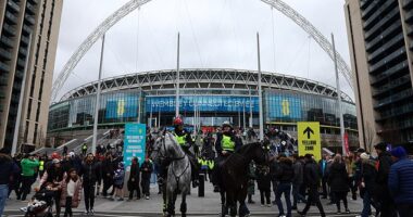 Hundreds of Liverpool fans experienced difficulties with their digital tickets ahead of the Carabao Cup final against Chelsea at Wembley Stadium